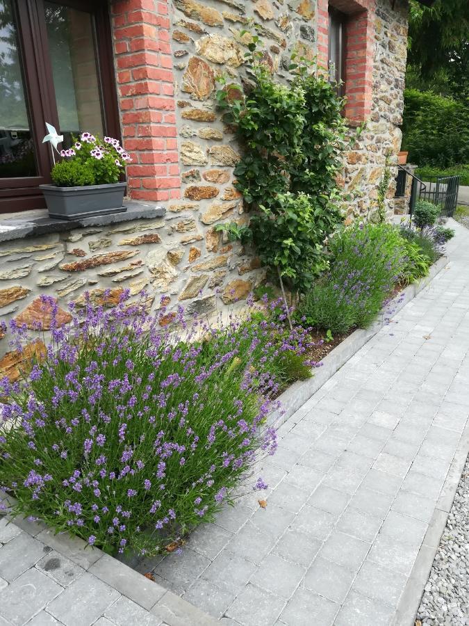 Le Fournil Gite Rural Trois-Ponts Kültér fotó
