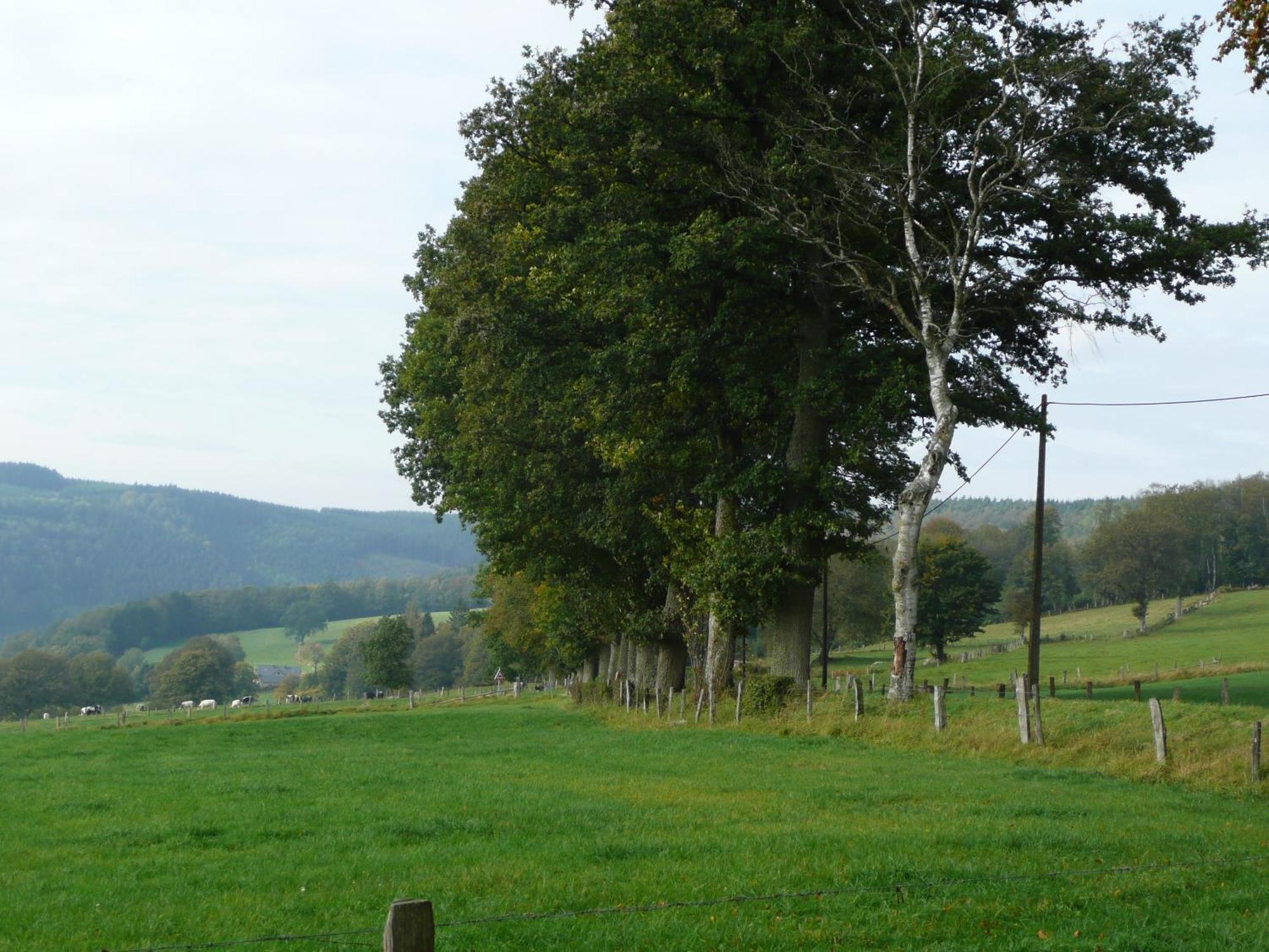 Le Fournil Gite Rural Trois-Ponts Kültér fotó