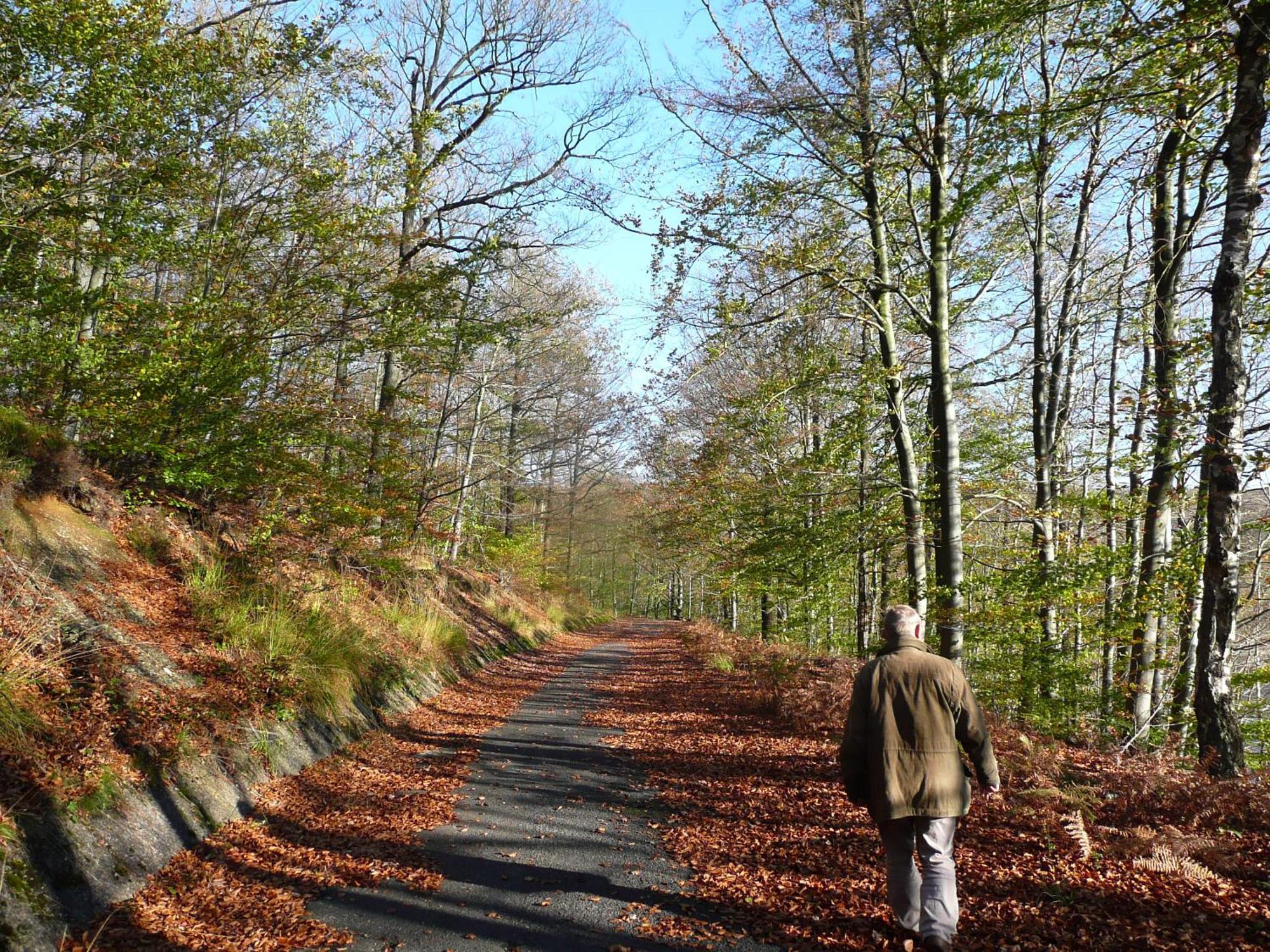 Le Fournil Gite Rural Trois-Ponts Kültér fotó